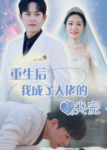 重生后我成了大佬的心尖宠封面图