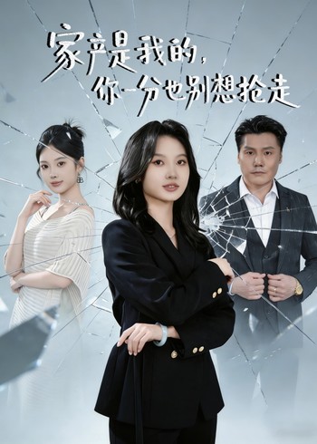 家产是我的你一分也别想抢走封面图