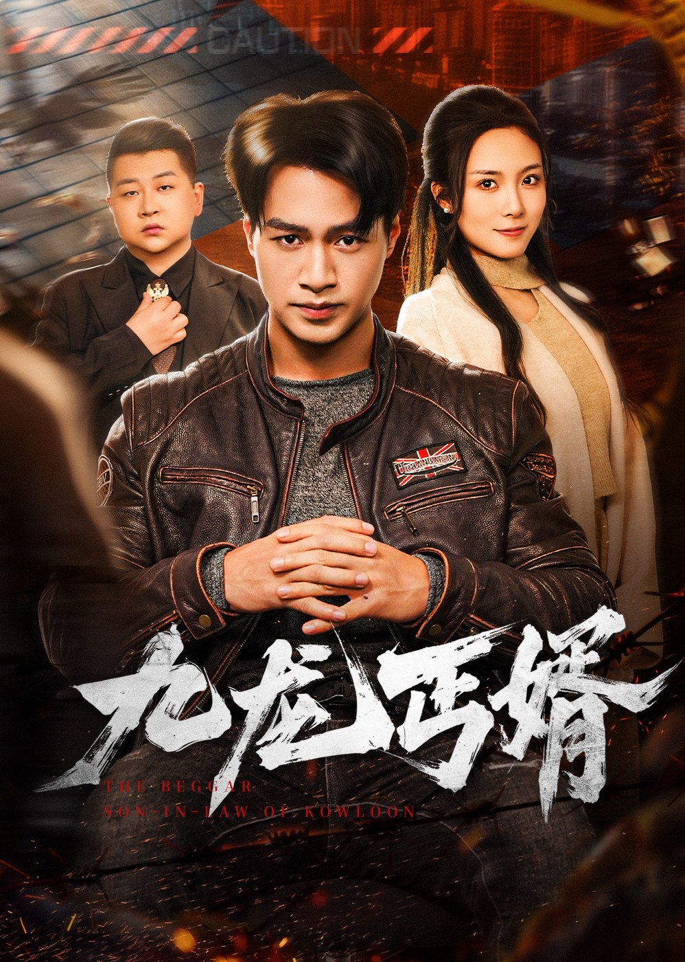 九龙丐婿封面图