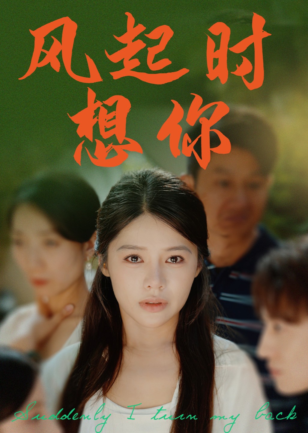 风起时想你封面图