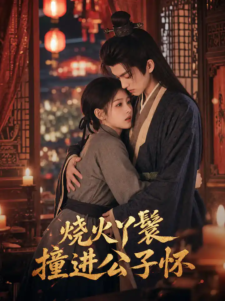 烧火丫鬟撞进公子怀