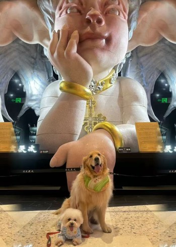 满满的小会1封面图