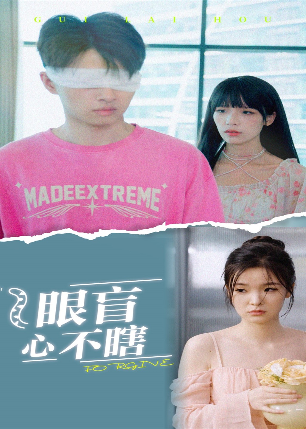 眼盲心不瞎封面图