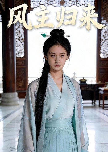 风主归来封面图
