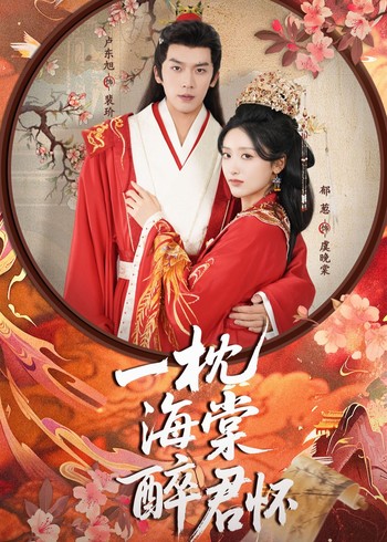一枕海棠醉君怀封面图