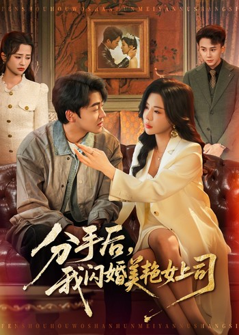 分手后我闪婚美艳女上司封面图