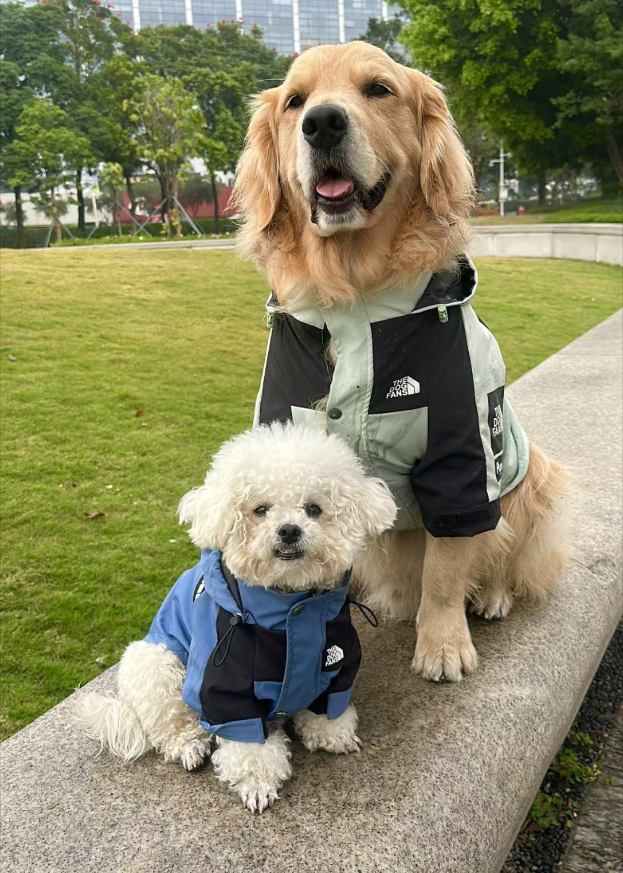 嘿嘿是我 海报