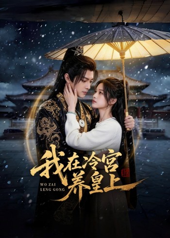 我在冷宫养皇上封面图