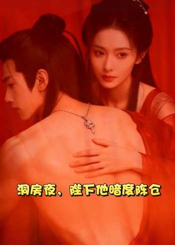 洞房夜陛下他暗度陈仓封面图
