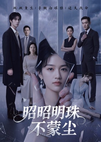 昭昭明珠不蒙尘封面图