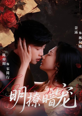 明撩暗宠封面图