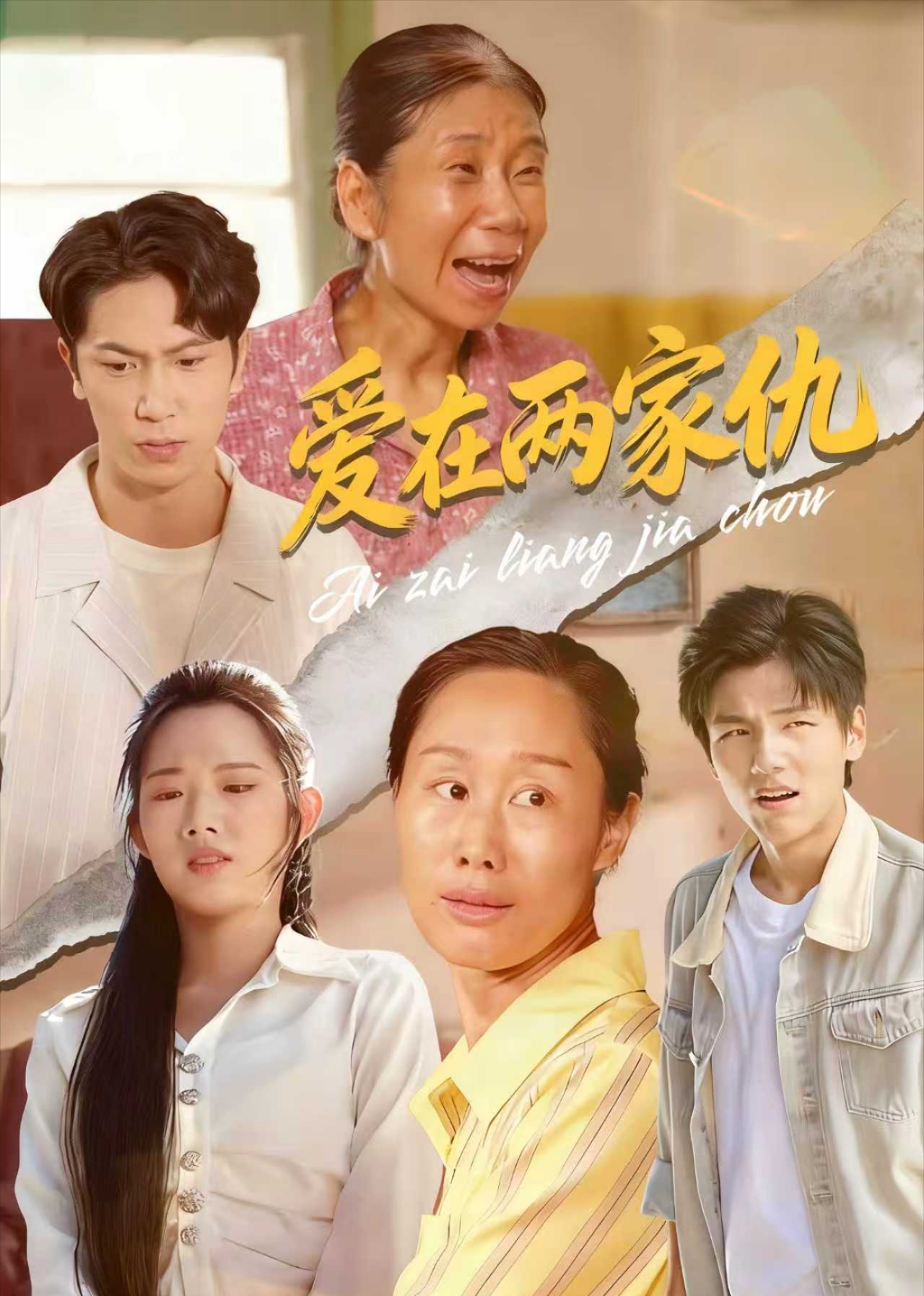 爱在两家仇封面图