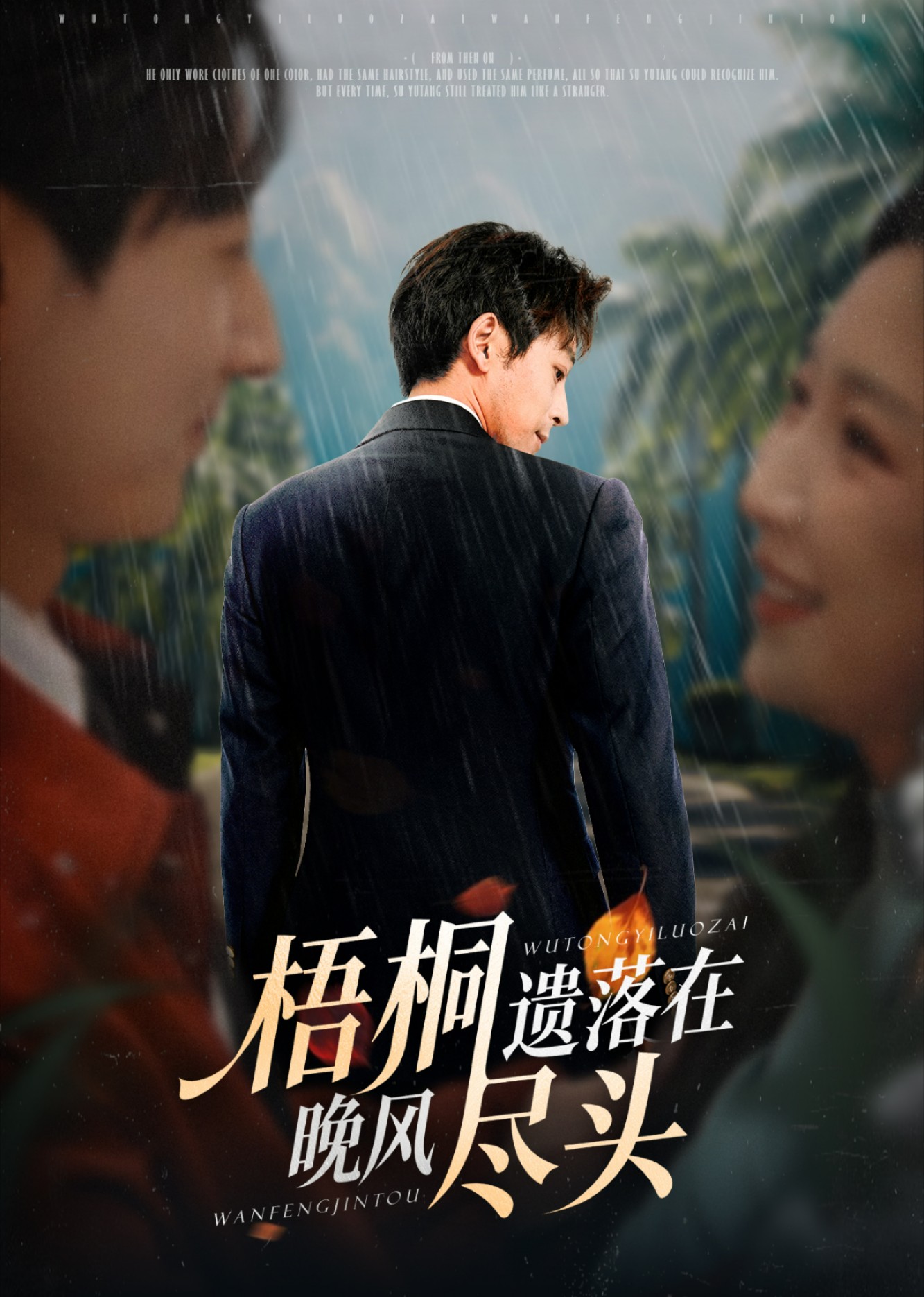 梧桐遗落在晚风尽头封面图