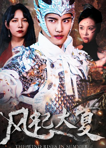 风起大夏封面图