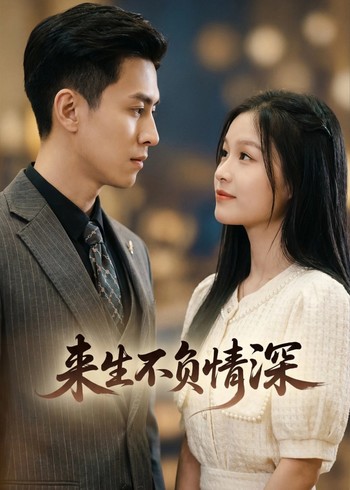 来生不负情深封面图