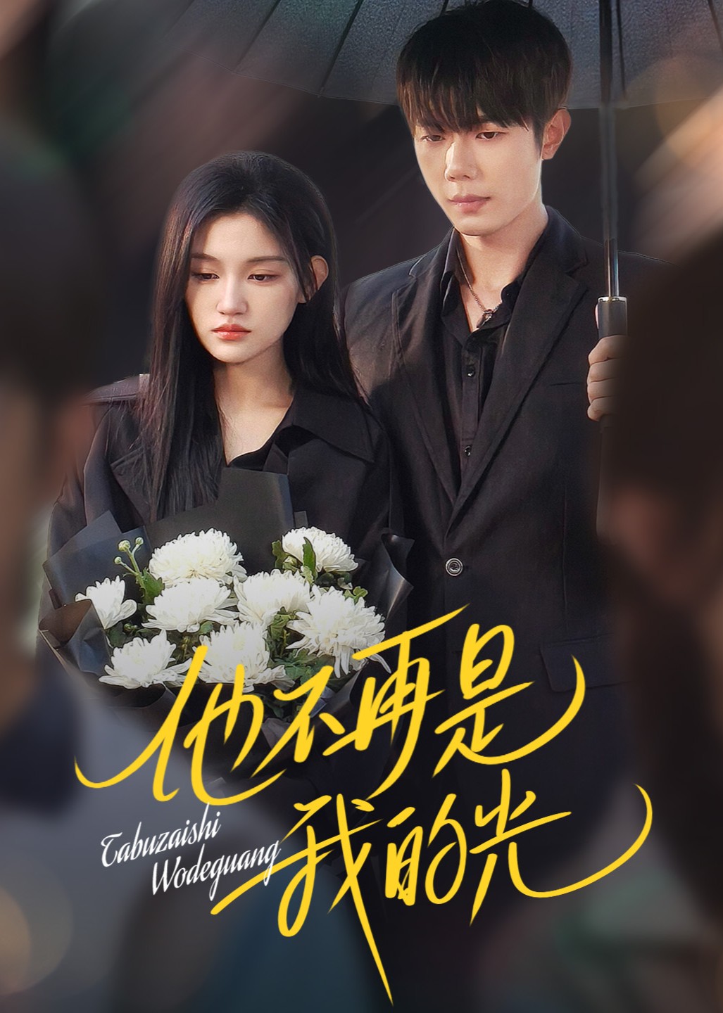 他不再是我的光封面图