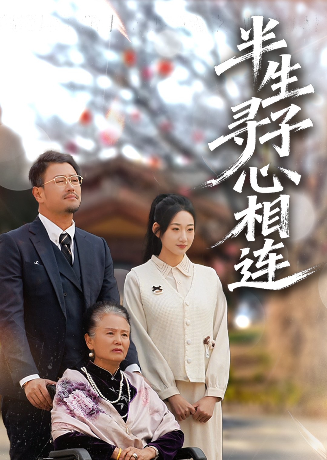 半生寻子心相连封面图