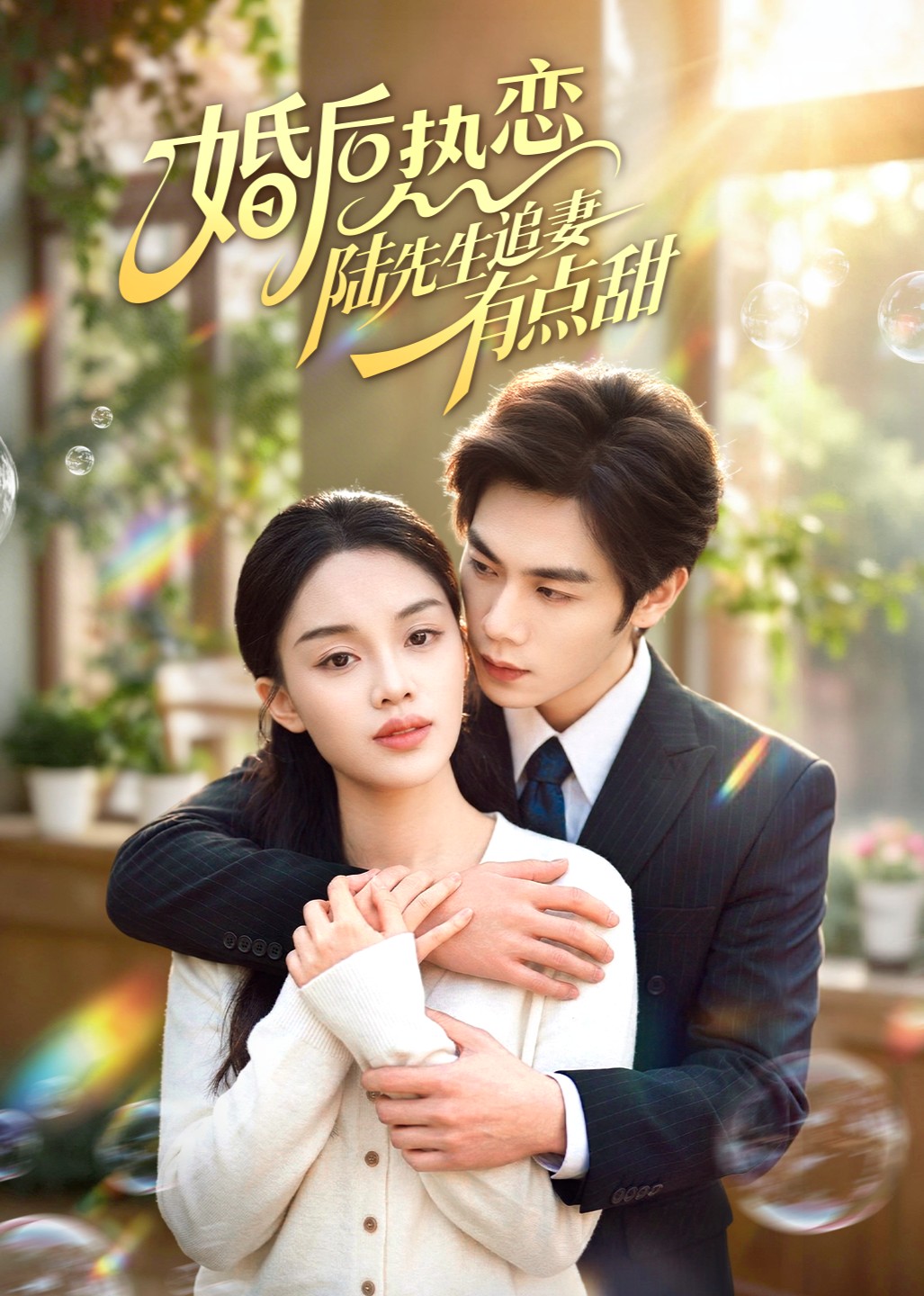 婚后热恋陆先生追妻有点甜封面图