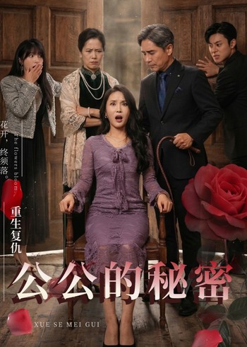 公公的秘密封面图