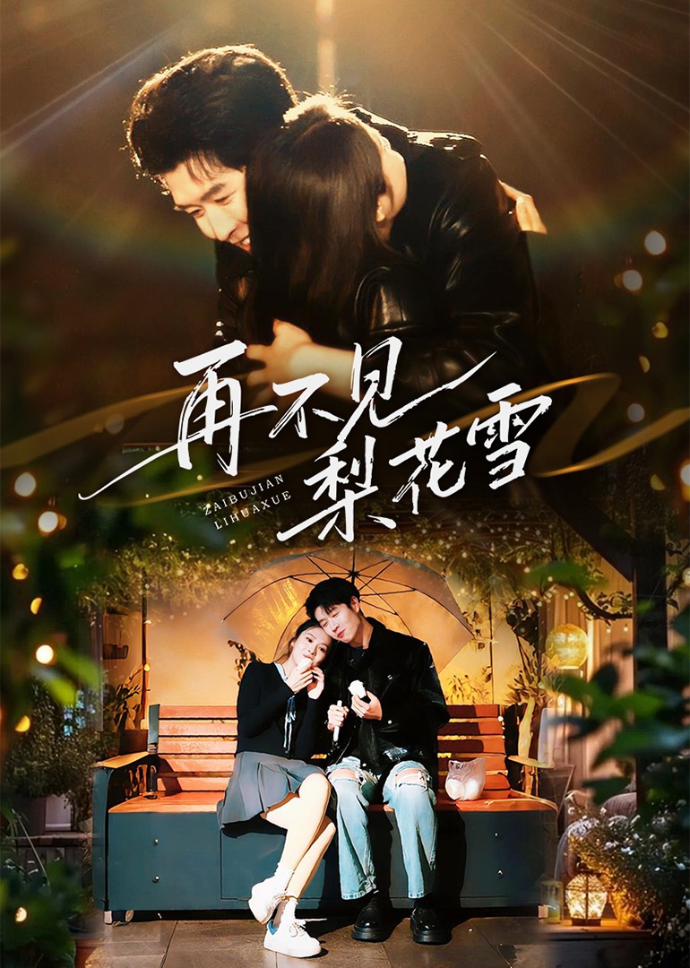 再不见梨花雪封面图