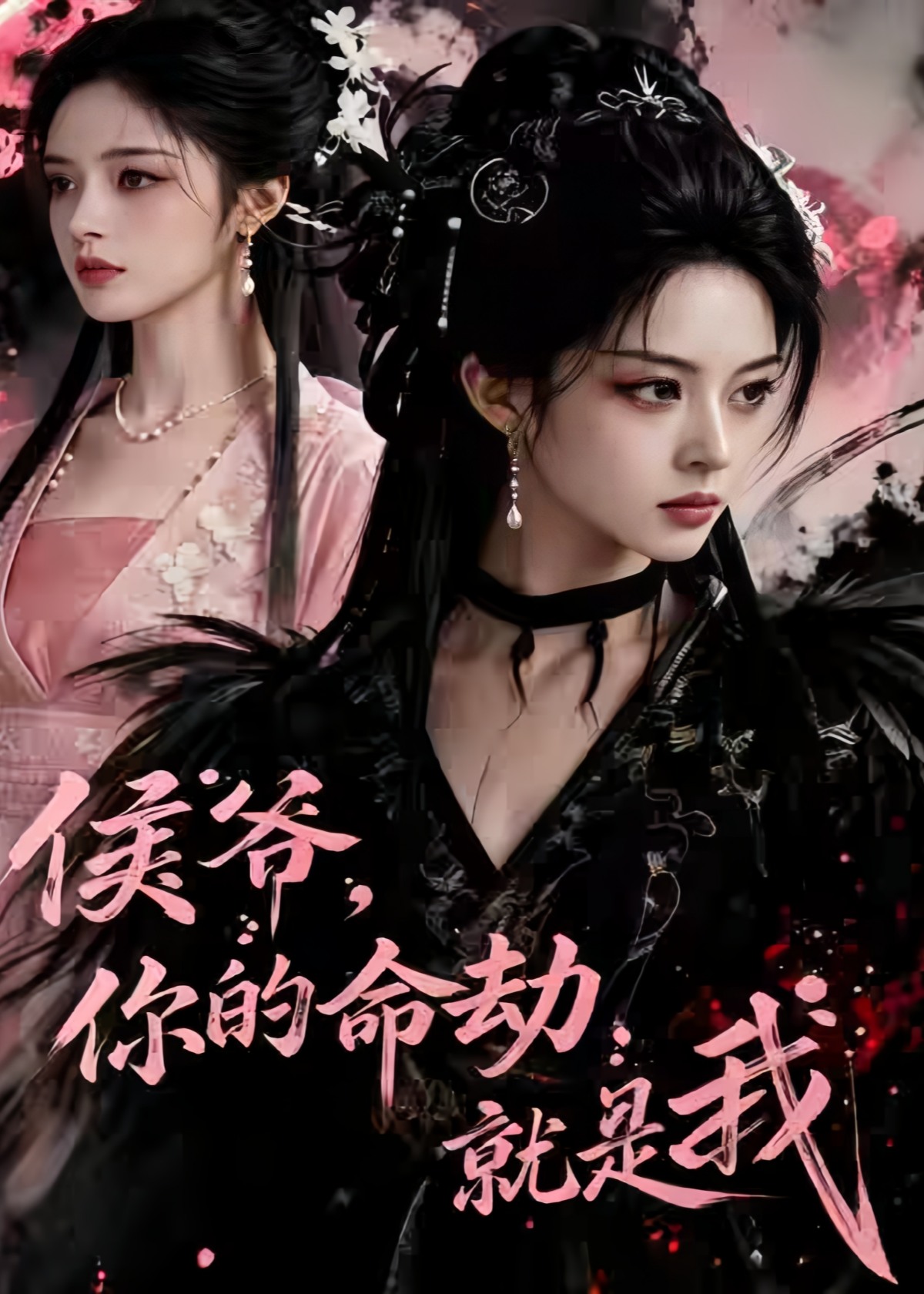 侯爷，你的命劫就是我