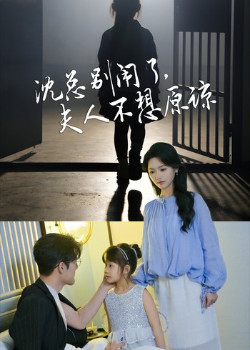 沈总别闹了夫人不想原谅封面图