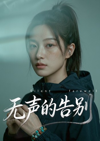 无声的告别封面图