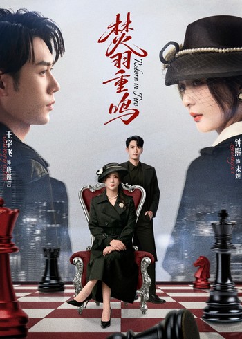 焚羽重鸣封面图