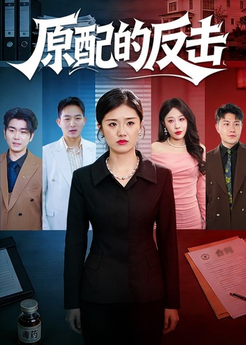原配的反击封面图