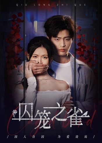 囚笼之雀封面图