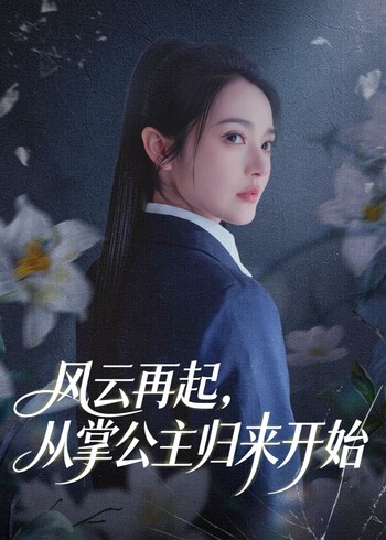 风云再起从掌公主归来开始封面图