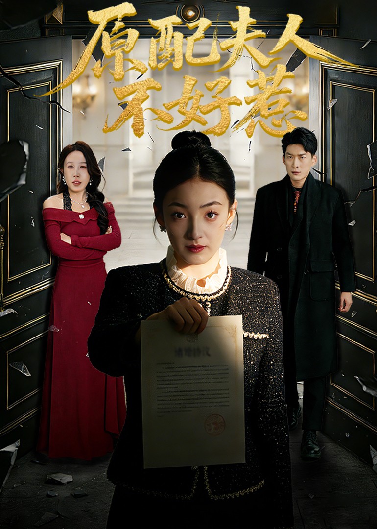 原配夫人不好惹封面图