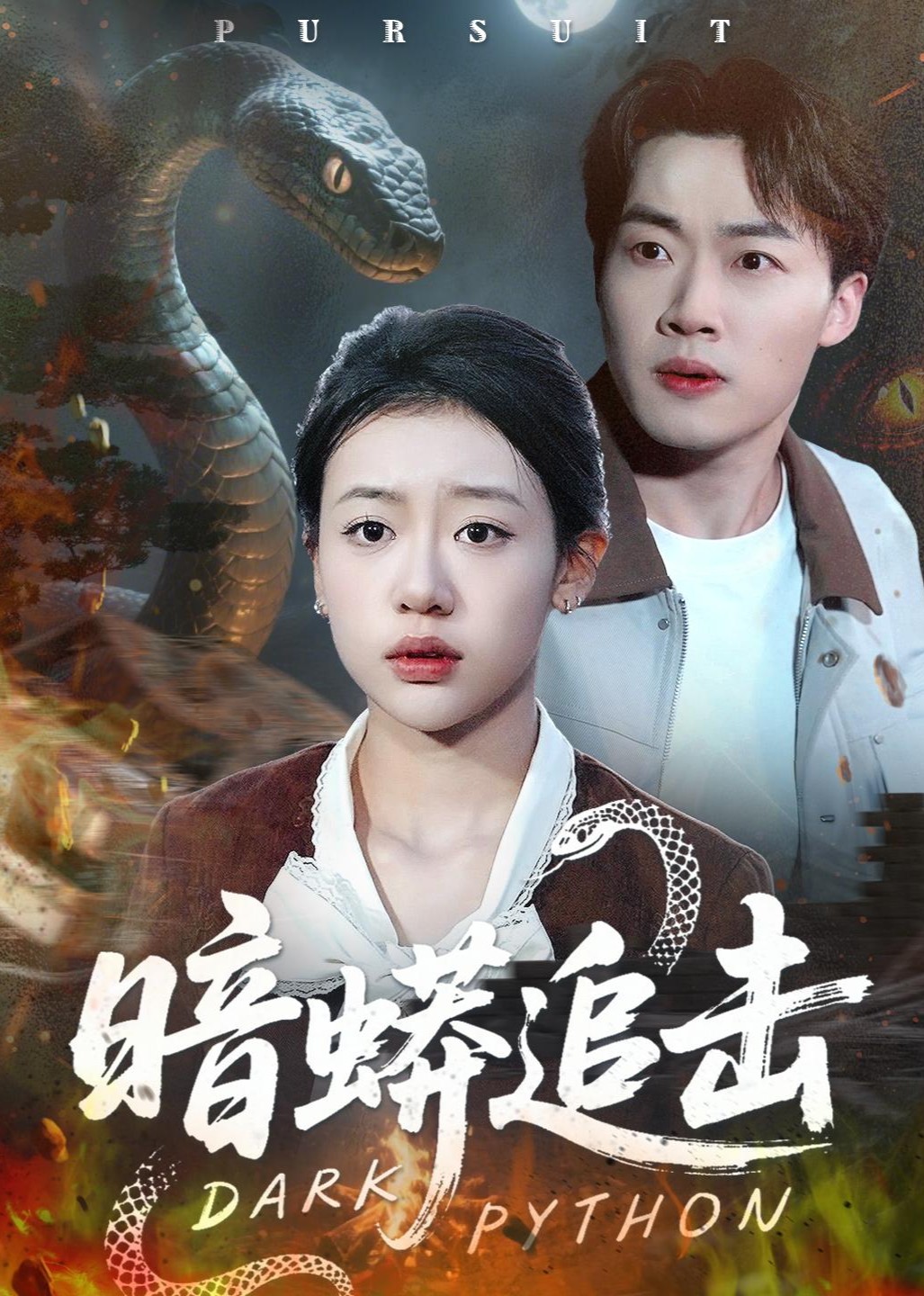 暗蟒追击封面图