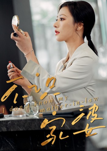 不识家婆封面图