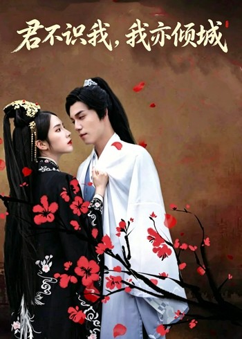 君不识我我亦倾城封面图