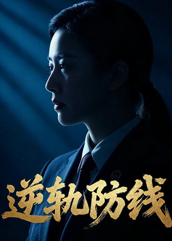 逆轨防线封面图