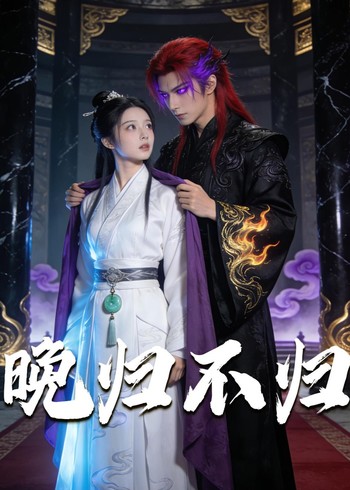 晚归不归封面图