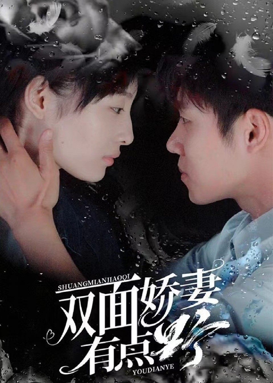 双面娇妻有点野封面图