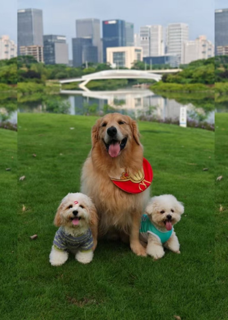 曼曼的预哈封面图