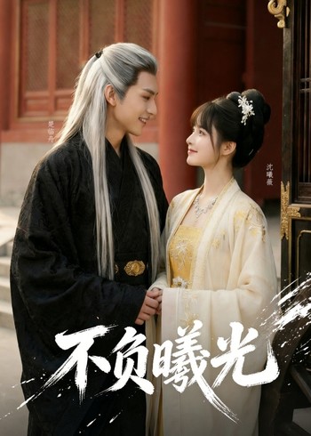 不负曦光封面图