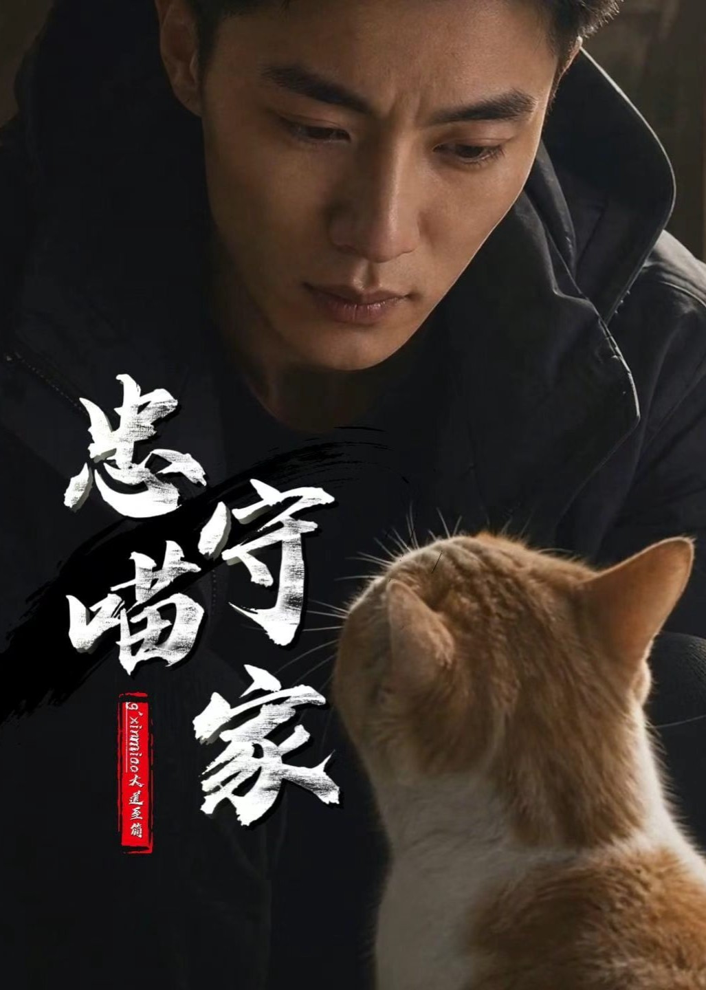 忠喵守家