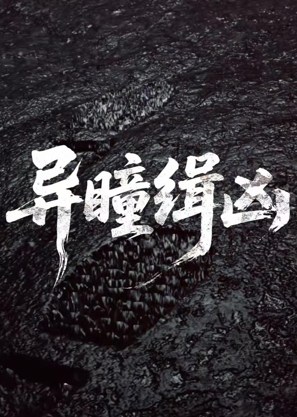 异瞳缉凶封面图