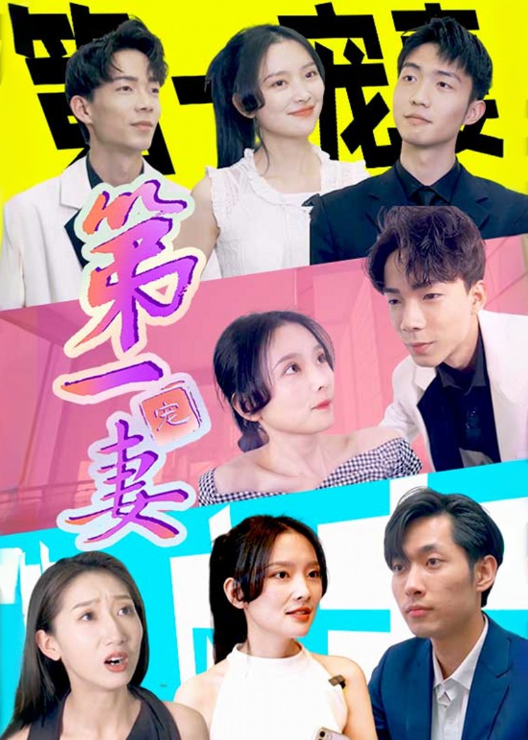 第一宠妻封面图