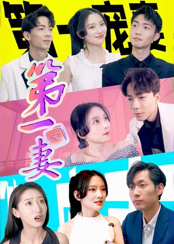 第一宠妻封面图