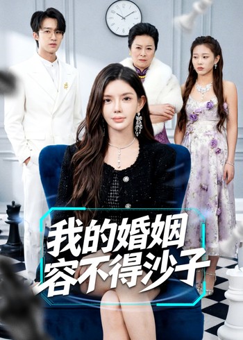 我的婚姻容不得沙子封面图