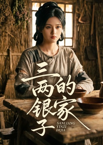 三两银子的家封面图