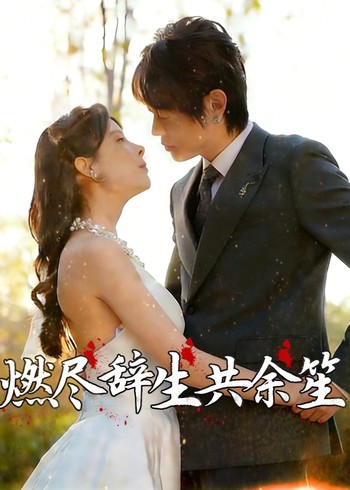 燃尽辞生共余笙封面图