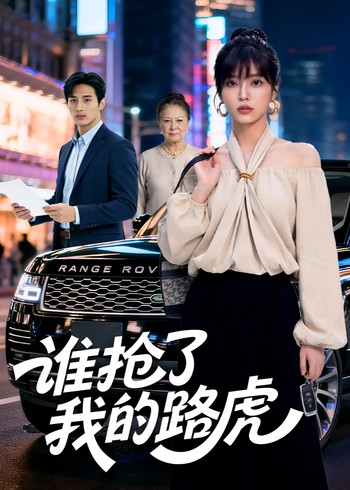 谁抢了我的路虎封面图