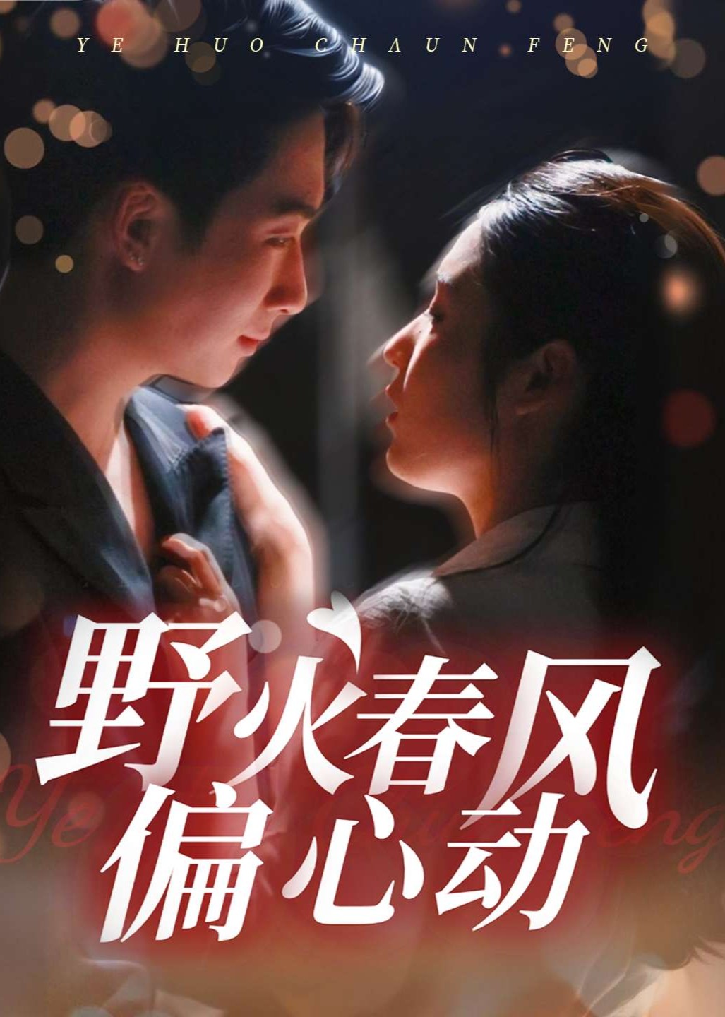 野火春风偏心动封面图