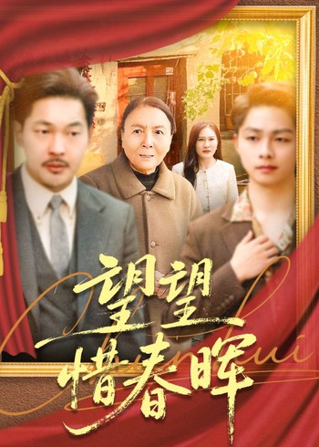 望望惜春晖封面图